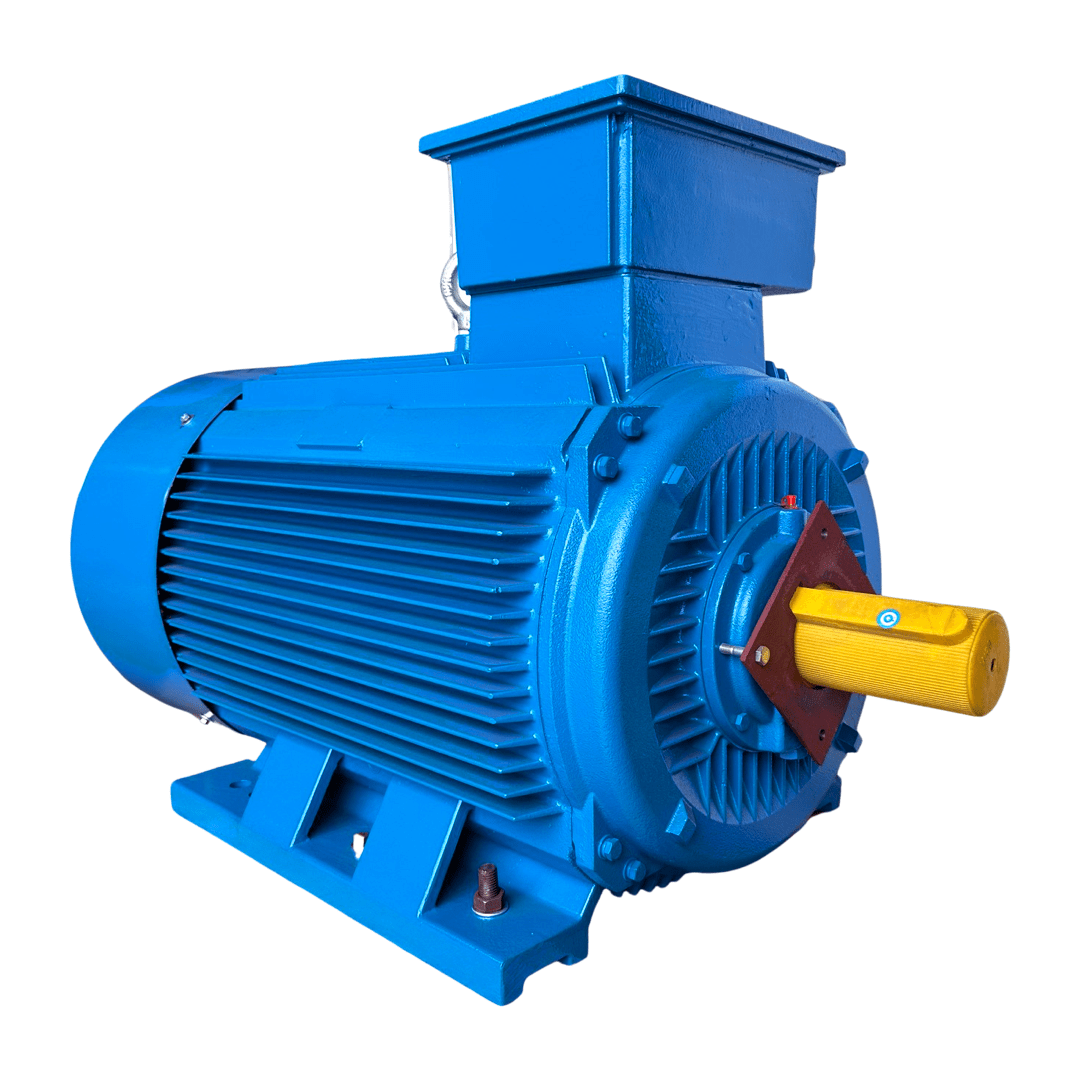 Low Voltage Motors